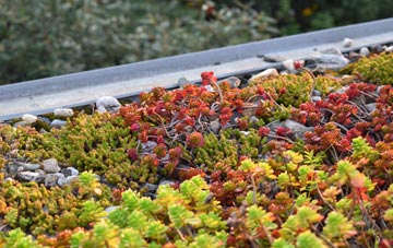 the cost of Swordly green roof installation