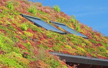 Swordly living roof systems